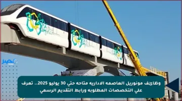 وظائف مونوريل العاصمة الإدارية متاحة حتى 30 يوليو 2025.. تعرف على التخصصات المطلوبة ورابط التقديم الرسمي
